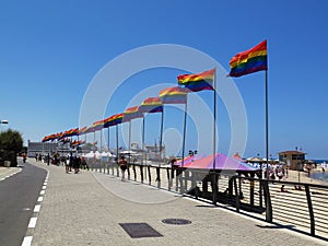 Tel Aviv rainbow flags